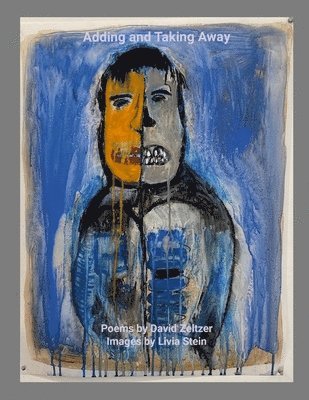 David Zeltzer - Adding and Taking Away, Häftad