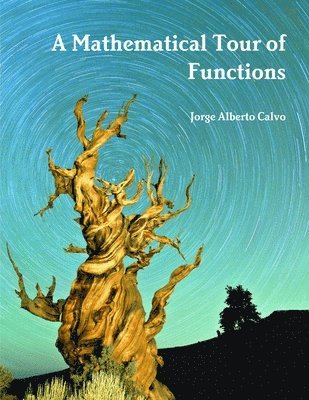 A Mathematical Tour of Functions 1