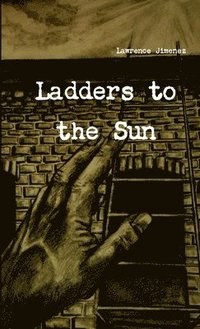 bokomslag Ladders to the Sun