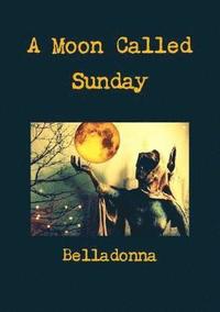 bokomslag A Moon Called Sunday