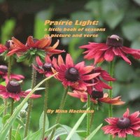 bokomslag Prairie Light: a little book of seasons in picture and verse