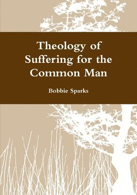 bokomslag Theology of Suffering for the Common Man