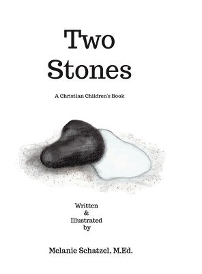 bokomslag Two Stones