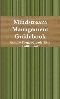 bokomslag Mindstream Management Guidebook