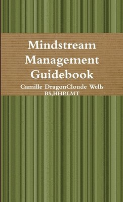 Mindstream Management Guidebook 1