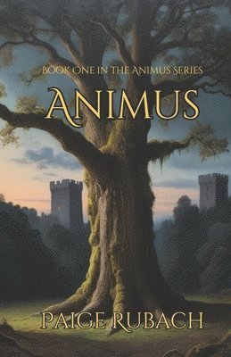 bokomslag Animus