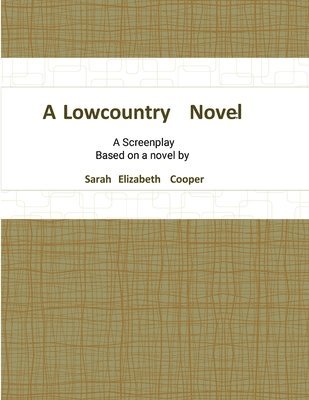 bokomslag Lowcountry Novel