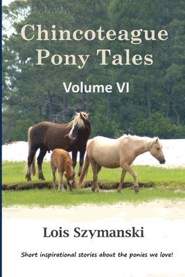 bokomslag Chincoteague Pony Tales