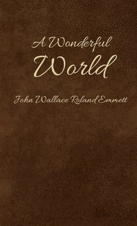 bokomslag Wonderful World