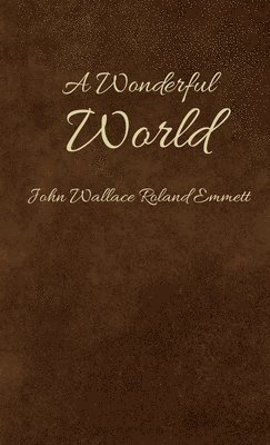 bokomslag Wonderful World