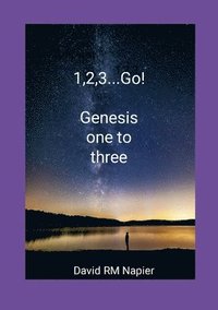 bokomslag 1,2,3...Go!: Genesis one to three