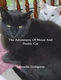 bokomslag The Adventures Of Moon And Daddy Cat