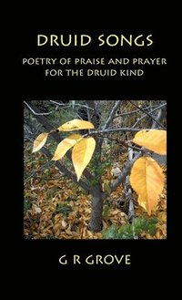 bokomslag Druid Songs