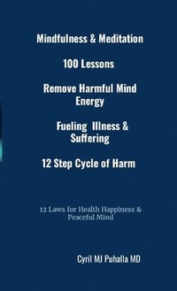 bokomslag Mindfulness & Meditation 100 Lessons Remove Harmful Mind Energy Fueling Illness & Suffering 12 Step Cycle of Harm 12 Laws for Health Happiness & Peaceful Mind