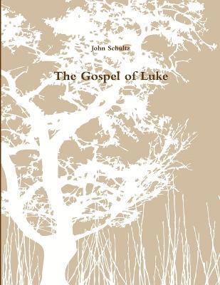 bokomslag The Gospel of Luke