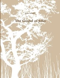 bokomslag The Gospel of John