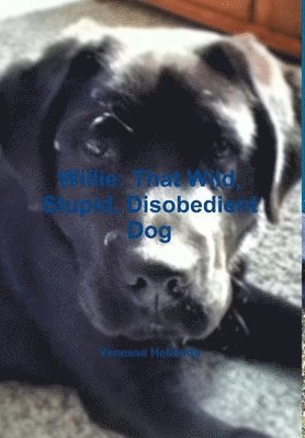 bokomslag Willie: That Wild, Stupid, Disobedient Dog