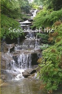 bokomslag Seasons of the Soul