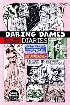 bokomslag Daring Dames Diaries