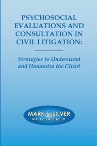 bokomslag Psychosocial Evaluations and Consultation in Civil Litigation
