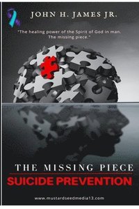 bokomslag Missing Piece