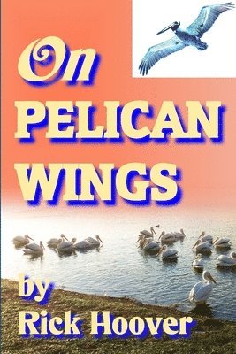 On Pelican Wings 1