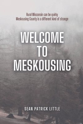 bokomslag Welcome to Meskousing