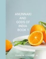 bokomslag Anunnaki and Gods of India Book 1