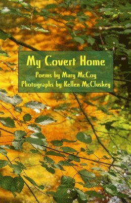 My Covert Home 1