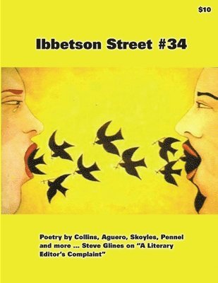 Doug Holder - Ibbetson Street #34, Häftad