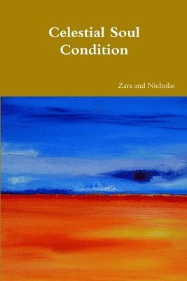 Zara Borthwick, Nicholas Arnold - Celestial Soul Condition, Häftad