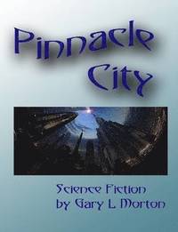 bokomslag Pinnacle City