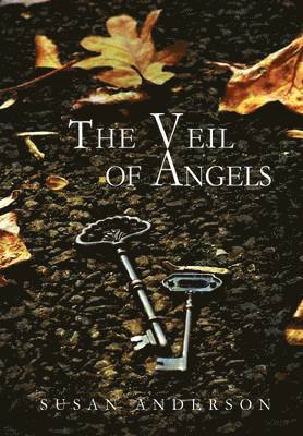 Susan Anderson - Veil of Angels, Inbunden