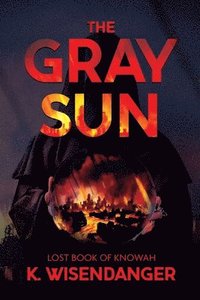 bokomslag Gray Sun