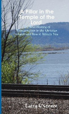 bokomslag A Pillar in the Temple of the Lord-The Real History of Reincarnation in the Christian Church and How it Affects You
