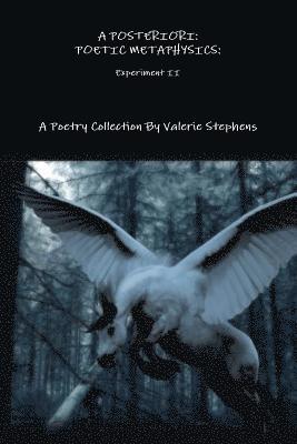 POSTERIORI: AN EXPERIMENT IN POETIC METAPHYSICS II