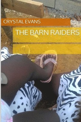 Crystal Evans - Barn Raiders, Häftad