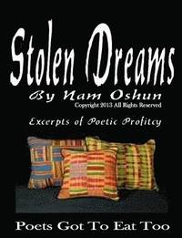 bokomslag Stolen Dreams vol. 1
