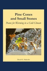 bokomslag Pine Cones and Small Stones