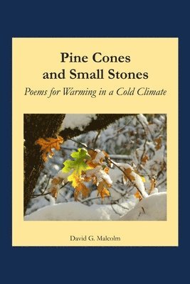 bokomslag Pine Cones and Small Stones