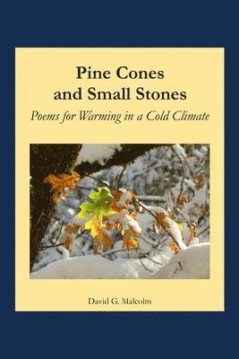 Pine Cones and Small Stones