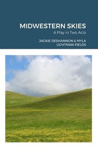 bokomslag Midwestern Skies