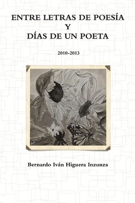 Entre Letras de Poesia y Dias de un Poeta 2010-2013 1