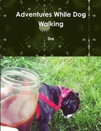 bokomslag Adventures While Dog Walking