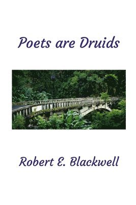 bokomslag Poets are Druids