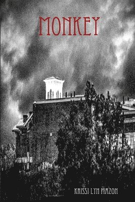 Krissi Lyn Mazon - Monkey, Häftad