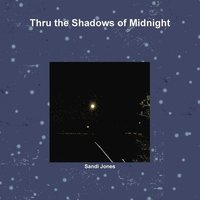 bokomslag Thru the Shadows of Midnight