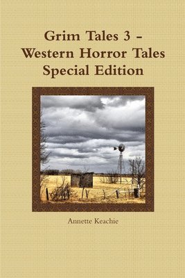 bokomslag Grim Tales 3 - Western Horror Tales Special Edition