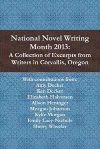 bokomslag National Novel Writing Month 2013