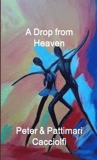 bokomslag A Drop from Heaven